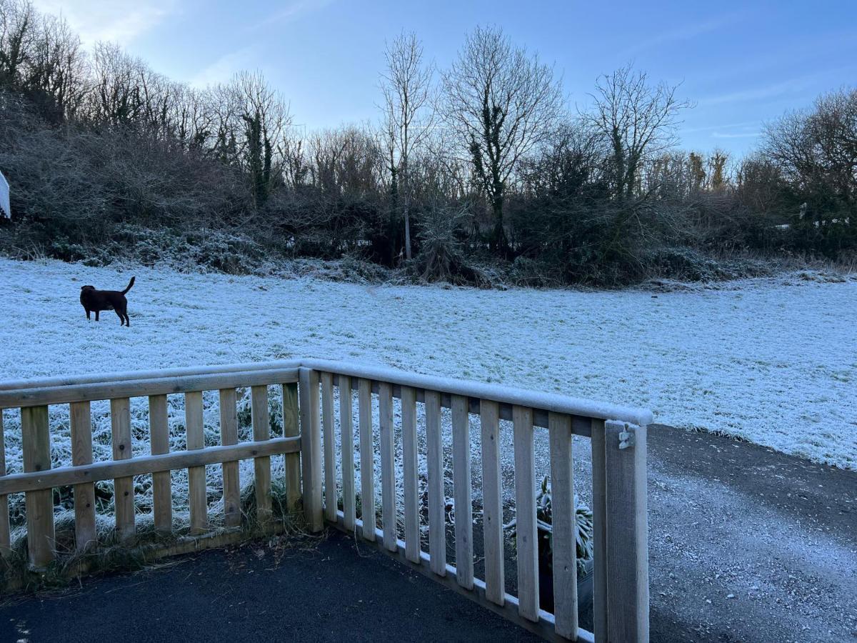 Kabin In The Woods Vila Llandybie Exterior foto