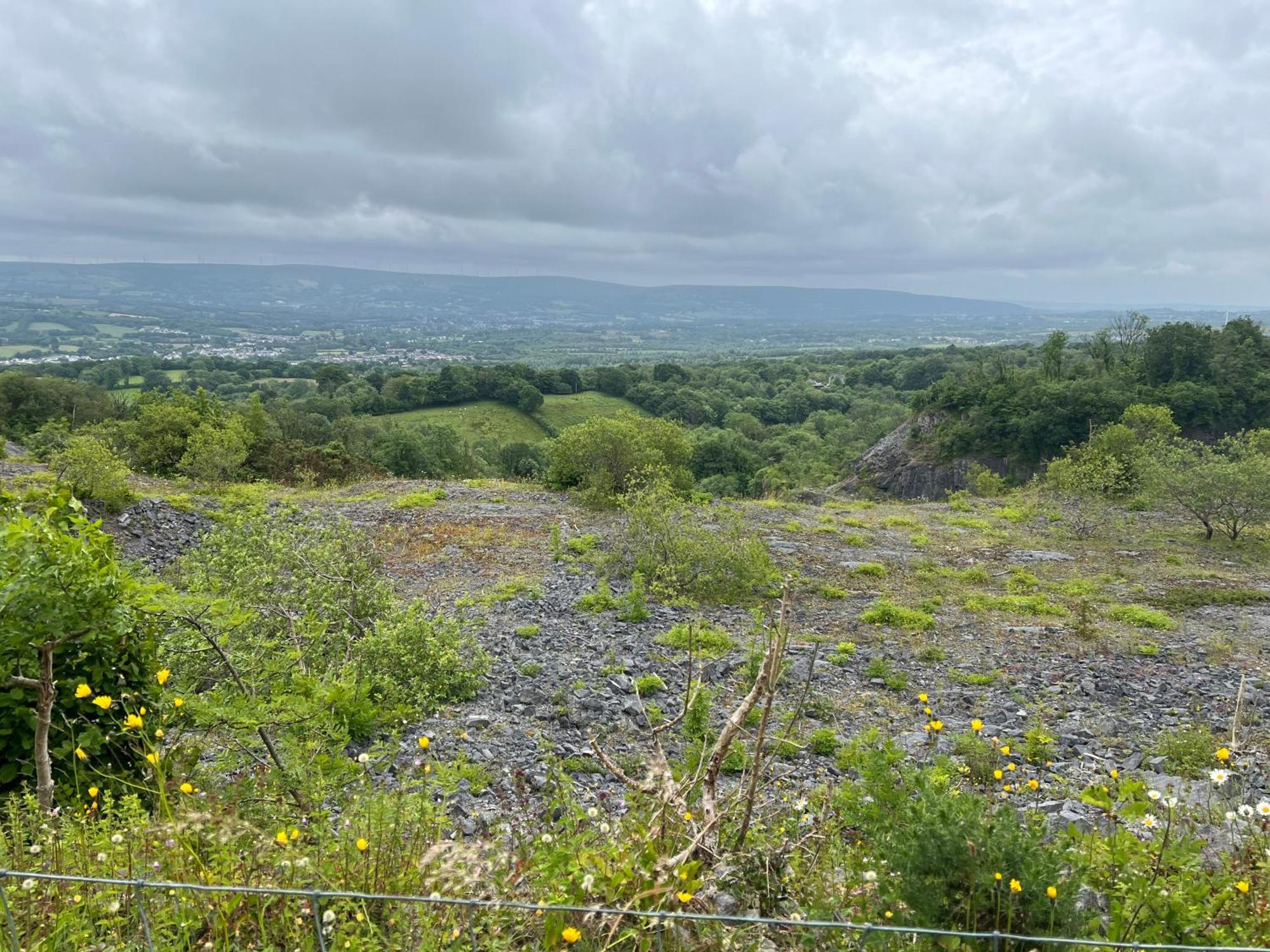 Kabin In The Woods Llandybie Exterior foto